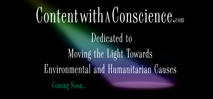 content with a conscience - conscience content